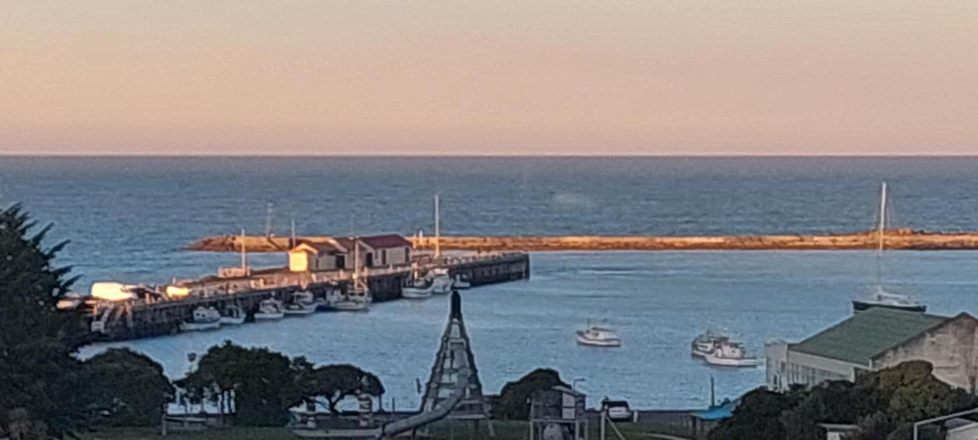 Oamaru Pink Cottage Экстерьер фото